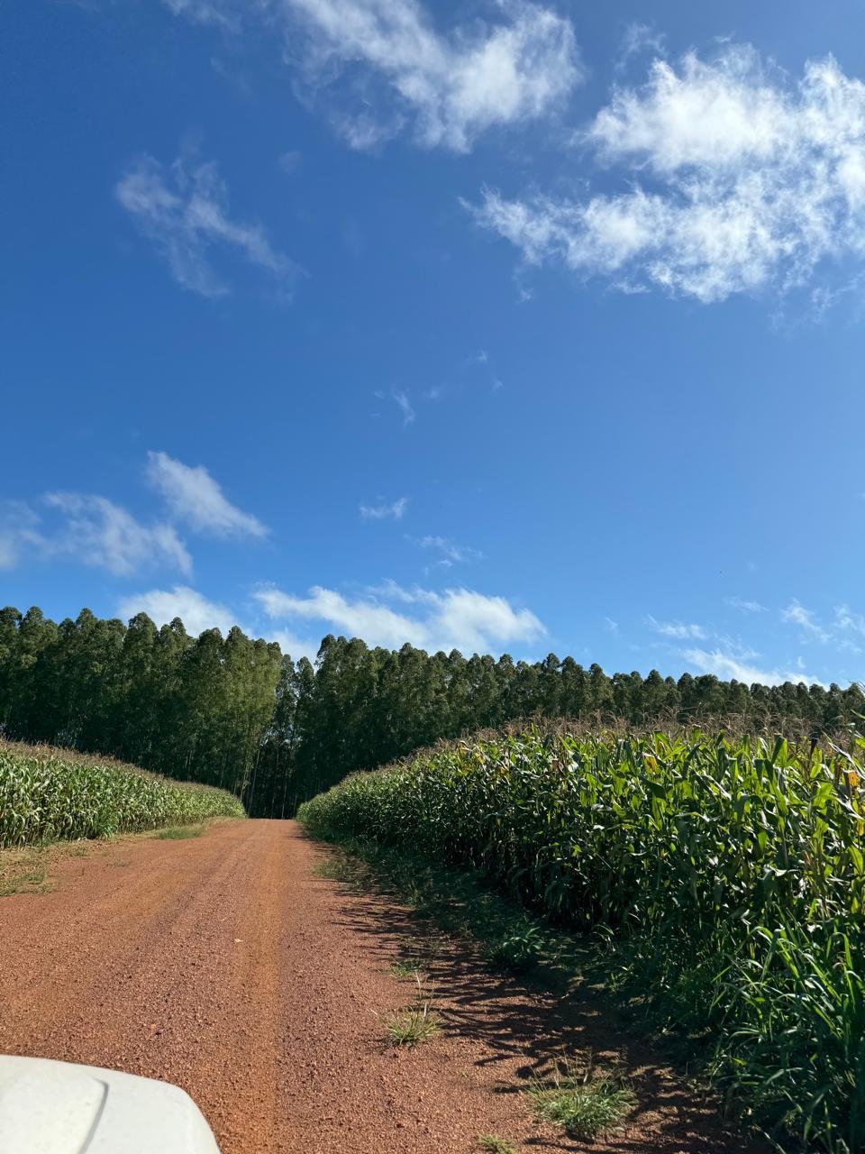 WhatsApp Image 2026-02-06 at 10.44.56