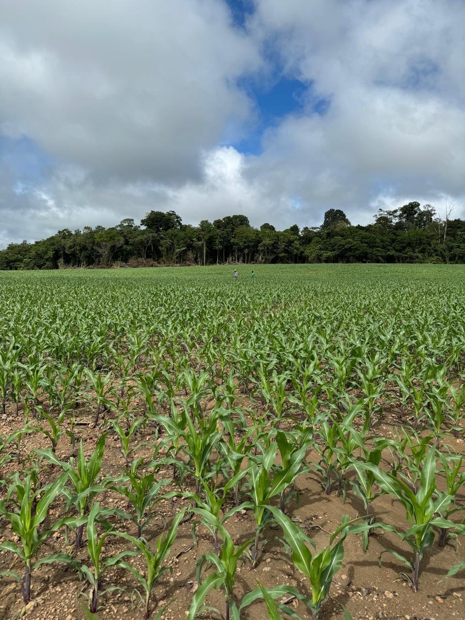 WhatsApp Image 2026-02-06 at 10.44.57 (1)