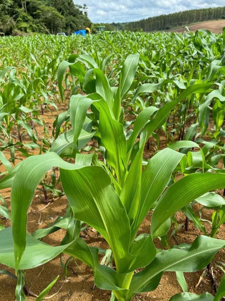 WhatsApp Image 2026-02-06 at 10.44.57